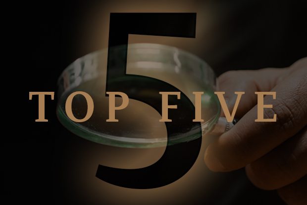 Top 5 Reasons Many Australians Are Still Looking at Property Right Now Top 5 Reasons Many Australians Are Still Looking at Property Right Now
