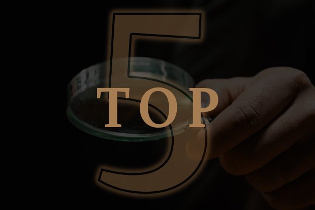 Top 5 Reasons Many Australians Are Still Looking at Property Right Now