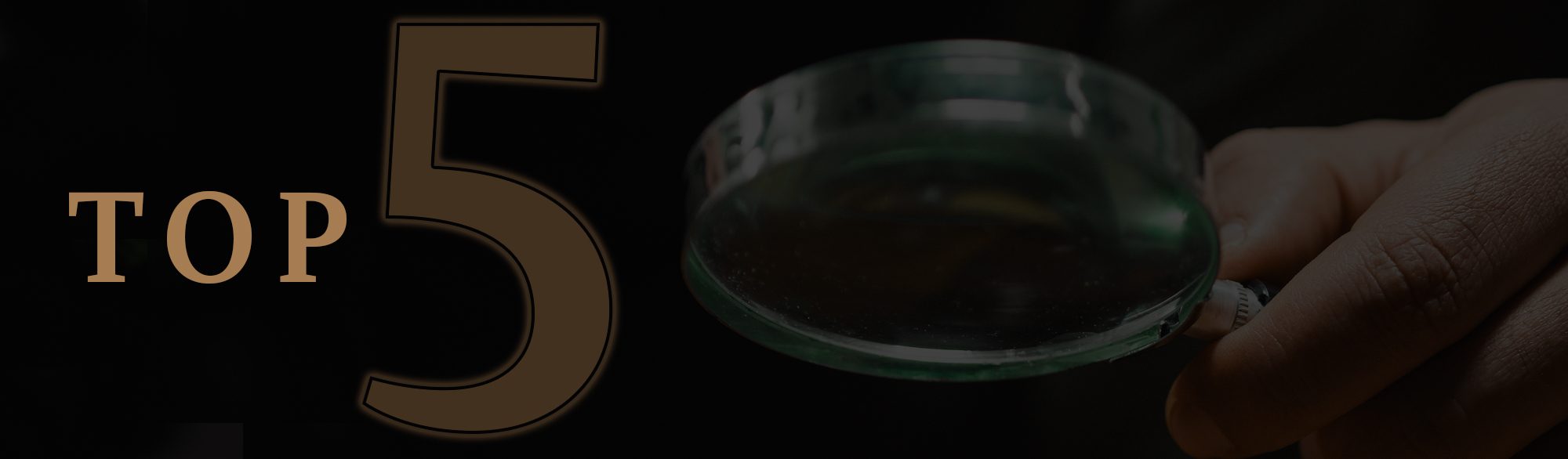 Top 5 Reasons Many Australians Are Still Looking at Property Right Now